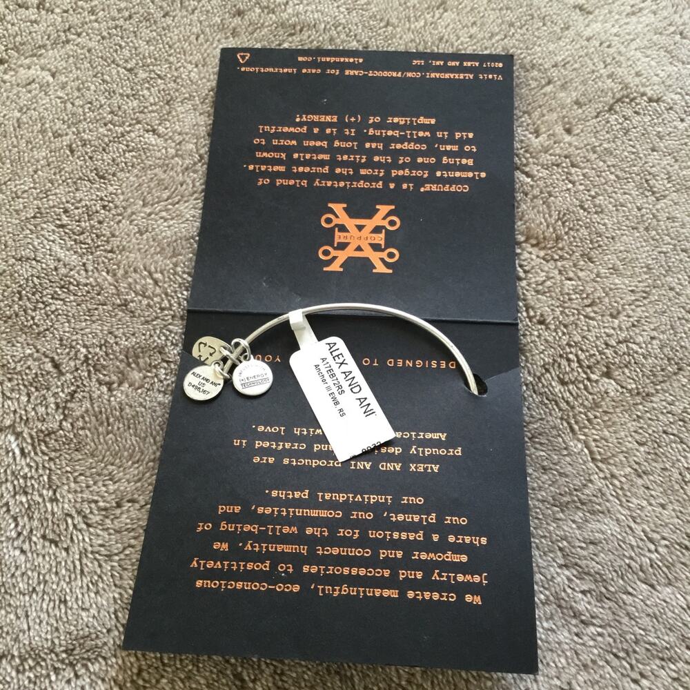Alex and Ani Anchor III EWB, Rafaelian Silver Bangle Bracelet - Picture 2 of 3